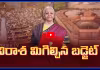 నిరాశ మిగిల్చిన బడ్జెట్