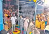 శివ శివా.. ఇదేం దారుణం?