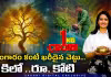 బంగారం కంటే ఖరీదైన చెట్టు.. కిలో రూ. కోటి