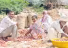 రైతుల పాలిట పిడుగుపాటు
