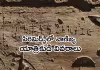 1600 BC...  ఈజిప్టు- తమిళ్ ట్రేడ్..!