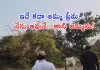 తన బిడ్డ జాడ కోసం దారి చూపించిన ఆవు