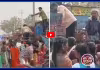 గిట్టుబాటు ధర లేక ఫ్రీగా పంచి పెట్టారు