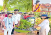 ముళ్లున్న చోటే పూలు