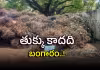 రైల్వేకు వందల కోట్ల లాభం