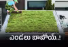 మండిస్తున్న ఎండలు, పైకప్పు చల్లగా ఇలా..!