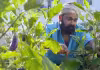 వారెవ్వా! నటనలోనే కాదు, ఫార్మింగ్&zwnj;లోనూ సూపర్&zwnj; స్టారే!