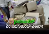 మీ పిల్లలు తింటున్నది చాక్లెట్లు కాదు..!