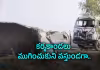 ఊహించని మలుపు.. ఒకే కుటుంబంలో 9 మంది మృతి