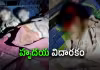 పాక్&zwnj; దాడులు.. 11 మంది చిన్నారులు మృతి