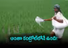 ఎరువుల సబ్సిడీ రెట్టింపు