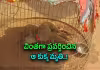 చిన్నారి మిస్సింగ్&zwnj; మిస్టరీ.. అసలేం జరుగుతోంది..?