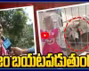 నిజం బయటపడుతుందనే కుక్కను చంపేశారా?