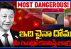 ఇది చైనా దోమ.. మీ ఇంట్లో కనిపిస్తే జాగ్రత్త..!