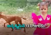 కొత్త మలుపు తిరిగిన చిన్నారి జానూ కేసు!