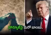 హార్మూజ్&zwnj;పై ట్రంప్&zwnj; కొత్త ఎత్తుగడ.. చమురు ప్రపంచానికి షాక్?