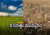 ఎల్ నినో ముప్పు: ఆ 10 రాష్ట్రాల్లో &lsquo;ప్లాన్&zwnj; బి&rsquo;!