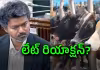 విజయ్ సర్కార్ నిర్ణయంతో రాజకీయ రచ్చ!