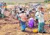 ఏపీలో ఉపాధి కూలి పెంపు రూ.5 మాత్రమే