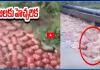 నదిలోకి కొట్టుకుపోయిన.. 3000 LPG సిలిండర్లు