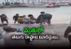 టూరిస్టు బోటు బోల్తా.. 10 మందికి పైగా మృతి