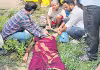 బస్తా యూరియా కోసం వెళ్తే.. నిండు ప్రాణం బలి