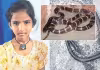 తల్లీబిడ్డను కాటేసిన కట్లపాము  