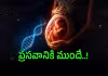 గర్భంలో పడినప్పుడే..ఆయుర్ధాయం ఖరారు..!