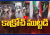 కాక్రోచ్ Vs పోలీస్.. జంతర్ మంతర్ వద్ద ఉద్రిక్తత.. ఇంటర్నెట్ కట్..