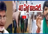 పంటలకు నీరివ్వలేని దద్దమ్మా.. చంద్రబాబు పై పేర్చి కిట్టు ఫైర్