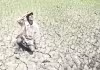 కరువొస్తోంది.. కొత్త సలహాలివ్వండి