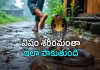 వానాకాలం పాము కాట్లు.. ఒక్క తప్పు చేసినా ప్రాణం పోయే ప్రమాదం