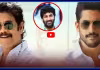 సంక్రాంతిపై కన్నేసిన నాగ్