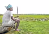 దుర్భిక్ష పర్వం