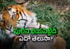 బాస్&zwnj;కే బాస్&zwnj; ఎవరు?