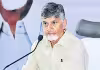 రాష్ట్రమంతా తీవ్ర కరువు