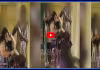 విద్యార్థులతో మసాజ్,కాళ్లు పట్టించుకుంటున్న టీచర్