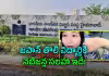 దోమలు, నల్లులు.. హైదరాబాద్&zwnj; ఐఐటీలో చేదు అనుభవం!
