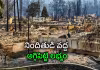 నిప్పంటించిన వ్యక్తి.. భారీగా తగలబడ్డ భవనాలు
