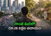 అందుకే రూ.11 లక్షల ఉద్యోగానికి గుడ్&zwnj;బై!