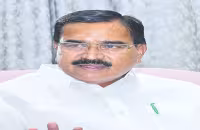 Minister Singireddy Niranjan Reddy React On Organic Marriage - Sakshi