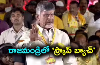 Kodali Nani Fires On Chandrababu And Tdp Leaders - Sakshi