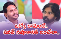 Kommineni Comment On CM Jagan Powerful Punches On Pawan Kalyan - Sakshi