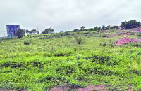 Survey number for lands without address - Sakshi