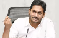 Cm Jagan Letter To External Affairs Minister Jaishankar On jahnavi Death In US - Sakshi