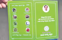 BRS calculations that the distribution of pattas will meet - Sakshi