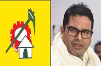 Pk Clarify To Tdp Ysrcp Will Win Upcoming Ap Elections - Sakshi