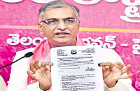 Harish Rao Fires On CM Revanth Reddy - Sakshi