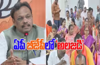 Ap Bjp Workers Are Angry About Alliance With Tdp - Sakshi