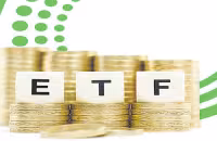 Stop accepting inflows in overseas ETFs - Sakshi